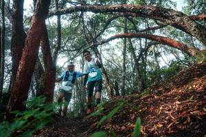 BIB: 
                            <button type="button" onclick="openModal(26344230)" class="btn btn-primary btn-sm float-right btn-popup" data-toggle="modal" data-target=".modal-high-quality">
                        <i class="fas fa-shopping-cart"></i> Add to Cart
                    </button>
                                            <button type="button" onclick="isThisMe(26344230, true)" class="btn btn-success btn-sm float-right btn-popup btn-isme hidden" data-toggle="tooltip" data-placement="bottom" title="นี่คือรูปของคุณใช่ไหม คลิกที่นี่เพื่อเอาเข้าอัลบั้ม">
                        <i class="fas fa-plus"></i> Add to album
                    </button>
                    <button type="button" onclick="isThisMe(26344230, false)" class="btn btn-warning btn-sm float-right btn-popup btn-isnotme hidden">
                        <i class="fas fa-ban"></i> Remove from album
                    </button>